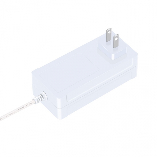 60W Series US Plug Constant Voltage Wall Adaptor